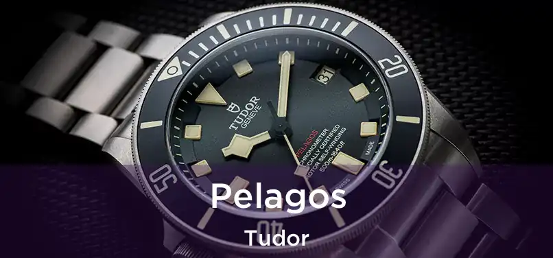 Pelagos Tudor